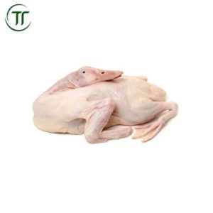 Vịt Suối