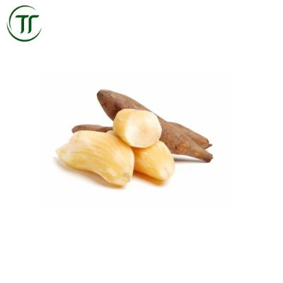 Củ Sâm Đất Củ Sâm Đất