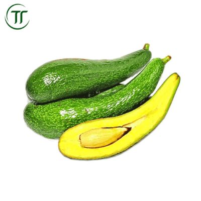 Bơ chín quả dài Bơ chín quả dài