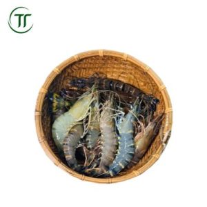 Tôm sú tươi