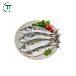 Cá Bạc Má Tươi