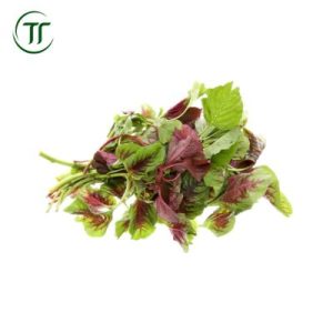 Rau dền đỏ nhặt sẵn