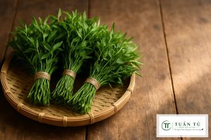 Rau đắng tươi giá sỉ tại Hà Nội – Nông Sản Tuấn Tú